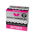 Ballen Butterfly  Training Ball 40+ White (120 ks)