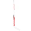 Composiet ijshockeystick Warrior Ritual V2 E+ Senior