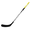 Composiet ijshockeystick WinnWell  300 Junior