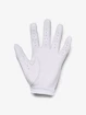 Dames golfhandschoenen Under Armour  IsoChill Golf Glove-WHT