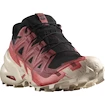 Dames hardloopschoenen Salomon  GTX W Black/Cohide/Fad