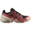 Dames hardloopschoenen Salomon  GTX W Black/Cohide/Fad