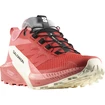 Dames hardloopschoenen Salomon Sense Ride 5 W