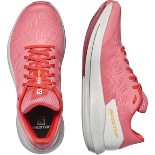 Dames hardloopschoenen Salomon Spectur W Tea Rose/Lunar Rock