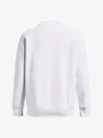 Dames hoodie Under Armour  Rival Fleece Crest Grp Crew-WHT