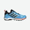 Dames outdoorschoenen adidas  Terrex Skychaser 2 GTX W Blue