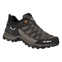 Dames outdoorschoenen Salewa  WS MTN Trainer Lite GTX  UK 6