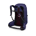 Damesrugzak OSPREY Tempest 26 deep fig/hotspot pink