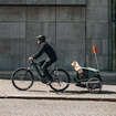 Fietskar voor honden Thule Bexey Hazy Green L