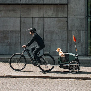 Fietskar voor honden Thule Bexey Hazy Green L