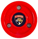 Green Biscuit  Florida Panthers