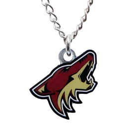 Hanger JF Sports Canada NHL Arizona Coyotes