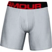 Heren boxershort Under Armour  Tech 6" 2 Pack grey Dynamic