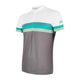 Heren fietsshirt Sensor Cyklo Summer Stripe Grey/Green