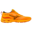 Heren hardloopschoenen Mizuno  Wave Rider Gtx Zinnia/Tigerlily/Black