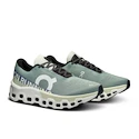 Heren hardloopschoenen On Cloudmonster 2 Mineral/Aloe