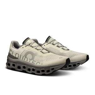 Heren hardloopschoenen On Cloudmonster Ice/Alloy