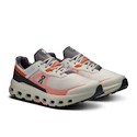 Heren hardloopschoenen On Cloudvista 2 Ice/Flame