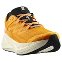 Heren hardloopschoenen Salomon Aero Glide 3 Turmeric/White/Black