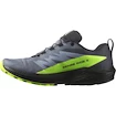 Heren hardloopschoenen Salomon  GTX Flint/Black/Grgeck