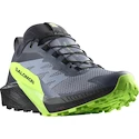 Heren hardloopschoenen Salomon  GTX Flint/Black/Grgeck