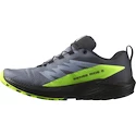 Heren hardloopschoenen Salomon  GTX Flint/Black/Grgeck