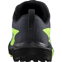 Heren hardloopschoenen Salomon  GTX Flint/Black/Grgeck