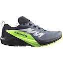 Heren hardloopschoenen Salomon  GTX Flint/Black/Grgeck