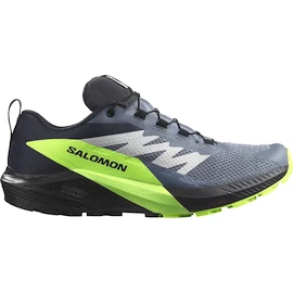 Heren hardloopschoenen Salomon GTX Flint/Black/Grgeck