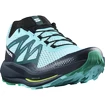 Heren hardloopschoenen Salomon Pulsar Trail