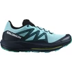 Heren hardloopschoenen Salomon Pulsar Trail