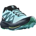 Heren hardloopschoenen Salomon Pulsar Trail