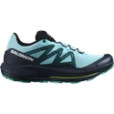 Heren hardloopschoenen Salomon Pulsar Trail