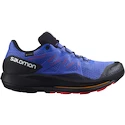 Heren hardloopschoenen Salomon Pulsar Trail GTX Dazzling Blue  UK 11