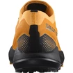 Heren hardloopschoenen Salomon Pulsar Trail Pro Marmalade