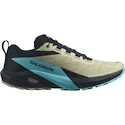 Heren hardloopschoenen Salomon Sense Ride 5 Alfalfa / Carbon / Peacock Blue