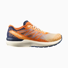 Heren hardloopschoenen Salomon Sonic Sense 5