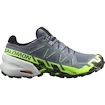 Heren hardloopschoenen Salomon Speedcross 6 Gtx Flint/Grgeck/Black  UK 9,5