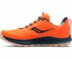 Heren hardloopschoenen Saucony  Peregrine 12 Campfire Stories