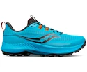 Heren hardloopschoenen Saucony  Peregrine 13 Agave/Basalt  UK 12