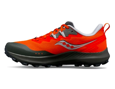 Heren hardloopschoenen Saucony  Peregrine 14 Pepper/Bough