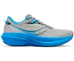 Heren hardloopschoenen Saucony  Triumph 21 Echo/Silve