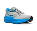 Heren hardloopschoenen Saucony  Triumph 21 Echo/Silve