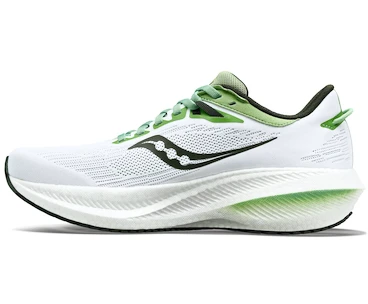 Heren hardloopschoenen Saucony  Triumph 21 White/Umbra