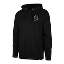 Heren hoodie 47 Brand  NHL Arizona Coyotes Imprint Backer 47 BURNSIDE Hood