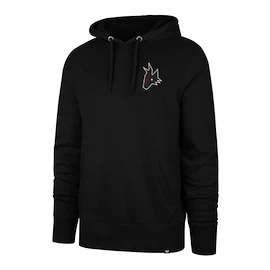 Heren hoodie 47 Brand NHL Arizona Coyotes Imprint Backer 47 BURNSIDE Hood