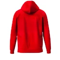 Heren hoodie Head  CLUB ORIGINAL Hoodie Men RD