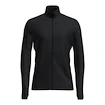 Heren hoodie Icebreaker Merino 260 Quantum IV LS Zip Black