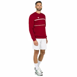 Heren hoodie Tecnifibre  Club Sweater Cardinal XXL