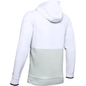 Heren hoodie Under Armour